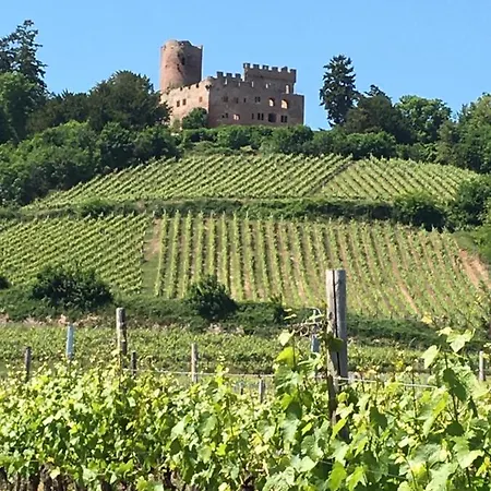 La Cour St-fulrad - דירה