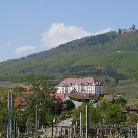 Apartament La Cour St-fulrad - *