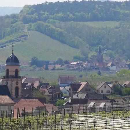 La Cour St-fulrad - דירה